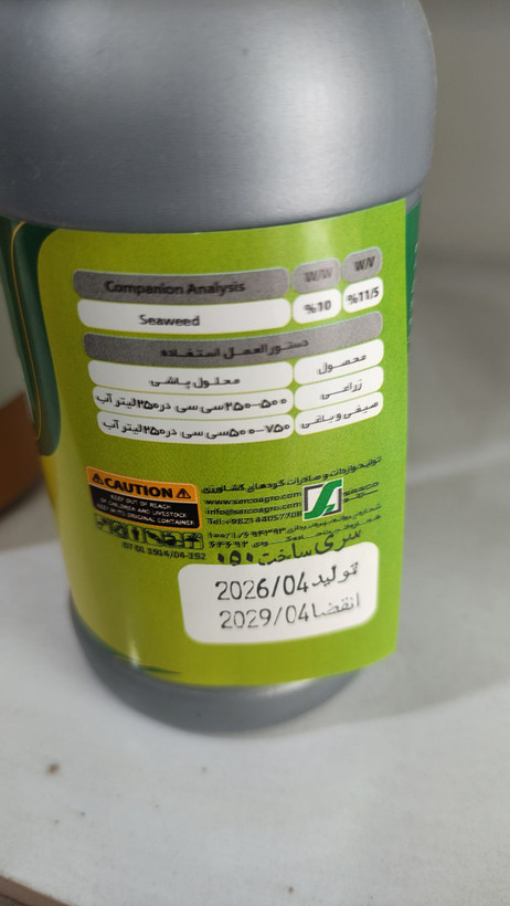 جلبک دریایی