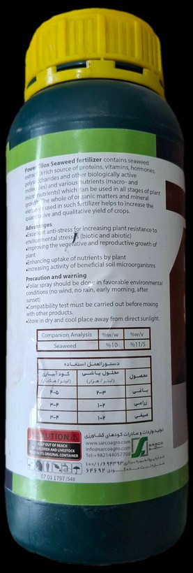جلبک دریایی